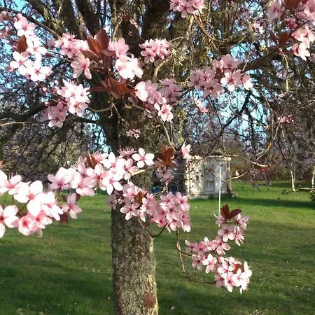D'hotes La Combe De Redoles 3* Tour-de-Faure