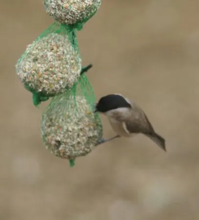 בית הארחה D'hotes La Combe De Redoles 3*