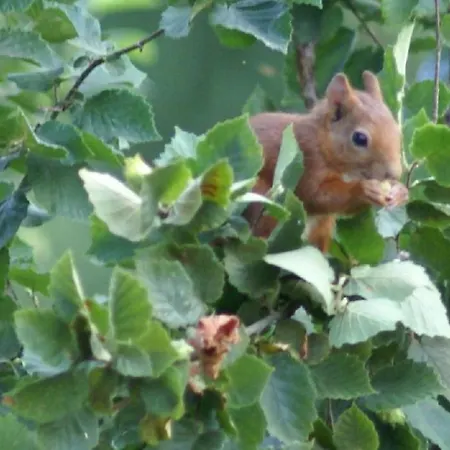 D'hotes La Combe De Redoles Tour-de-Faure