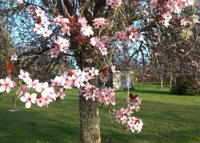 D'hôtes La Combe De Redoles 3* Tour-de-Faure