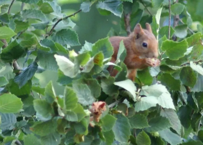 D'hôtes La Combe De Redoles Tour-de-Faure