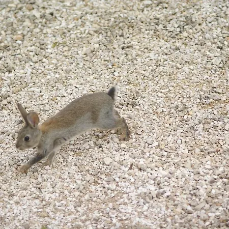D'hôtes La Combe De Redoles 3* Tour-de-Faure